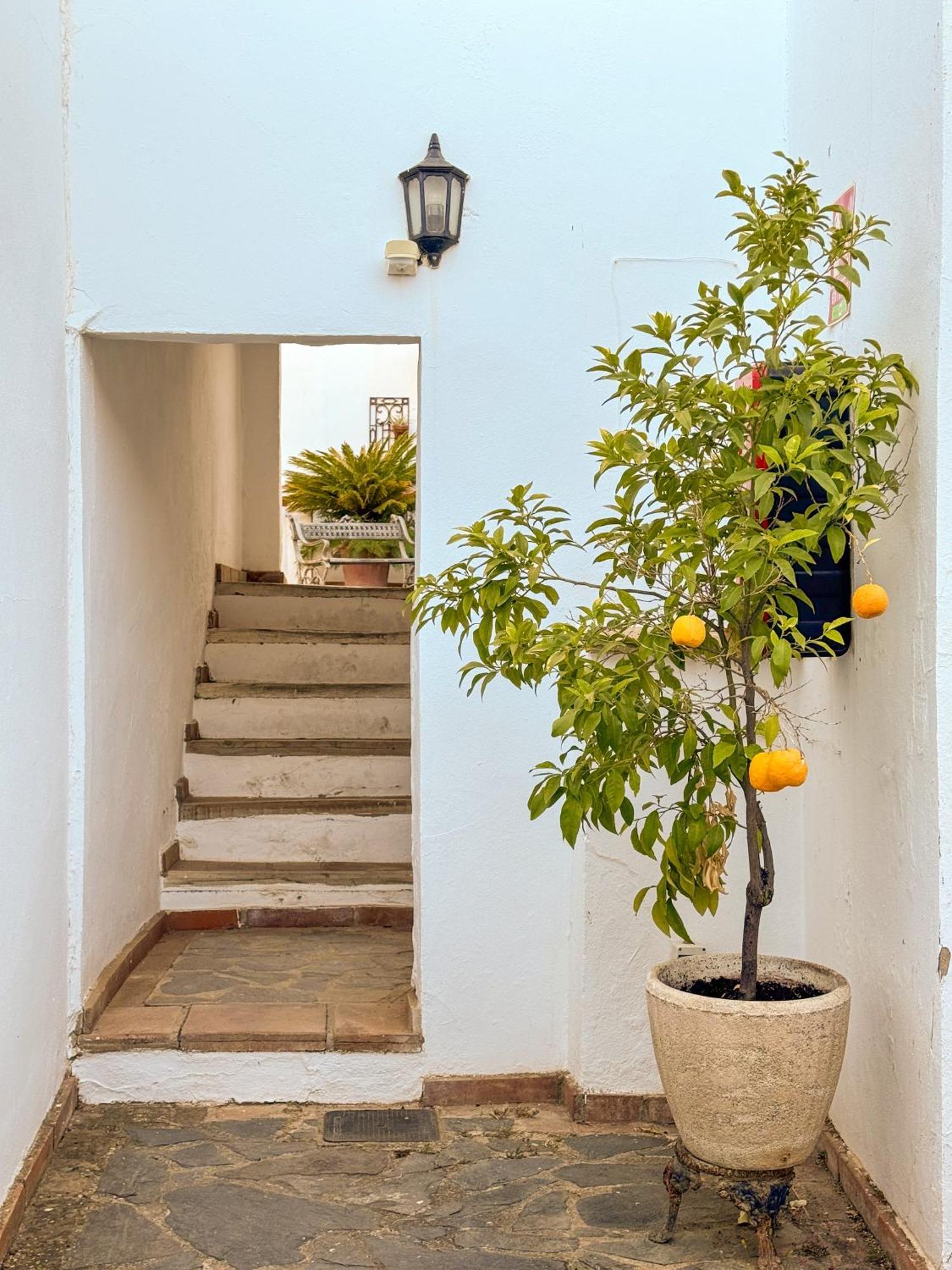 Hotel Cortijo Las Piletas Ronda Exterior photo